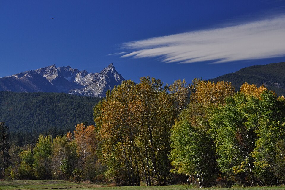 Trapper Peak in the Bitterroot Mountains above autumn cottonwoods, Montana